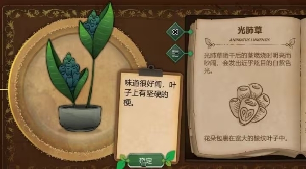 奇异园艺游戏