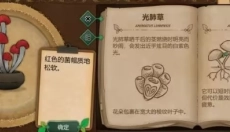 奇异园艺游戏 截图