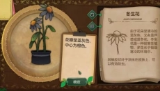 奇异园艺游戏 截图