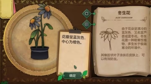奇异园艺游戏