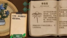 奇异园艺游戏 截图