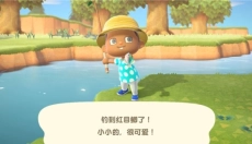 动物之森口袋露营汉化版 截图