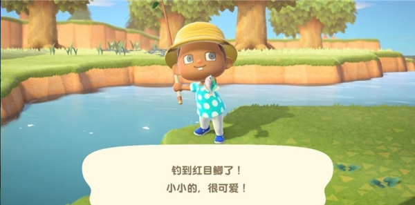 动物之森口袋露营汉化版