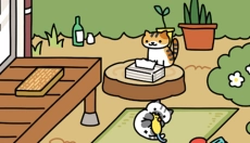 猫咪后院2最新版 截图