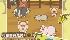 养猪场mix最新版 截图