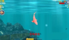 饥饿鲨进化游戏免费版 截图