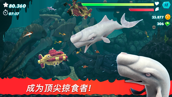 饥饿鲨进化游戏免费版