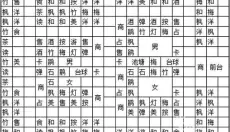 夏日水上乐园物语 截图