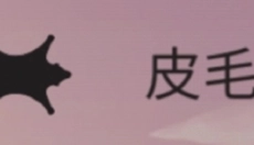篝火被遗弃的土地 截图
