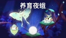 彩翼之星夜 截图