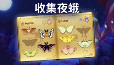 彩翼之星夜 截图