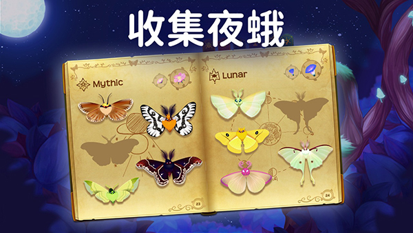 彩翼之星夜