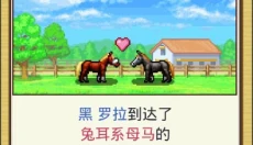 赛马牧场物语 截图