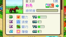 赛马牧场物语 截图