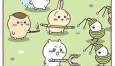 口袋吉伊卡哇最新版 截图