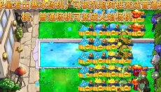 植物大战僵尸精华版最新版 截图