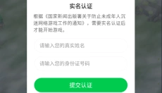 幸存者岛屿 截图