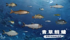 天天钓鱼 截图