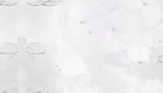 国王指意 截图
