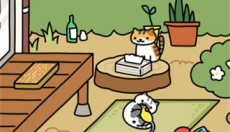 猫咪后院2游戏中文 截图