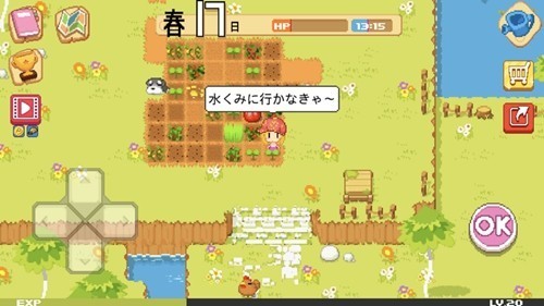 The Farm
