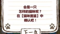家猫 截图