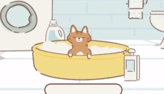 遇见你的猫 截图