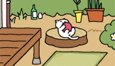 猫咪后院2 截图