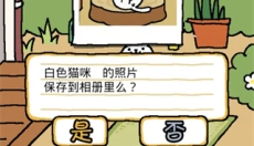 猫咪后院2 截图