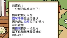 猫咪后院2 截图