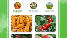 农场乐多多 截图
