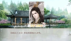 深宫曲安卓版 截图
