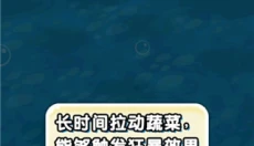 燃烧的蔬菜2游戏 截图