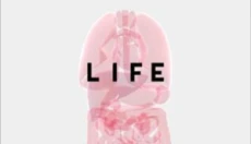 生命life 截图