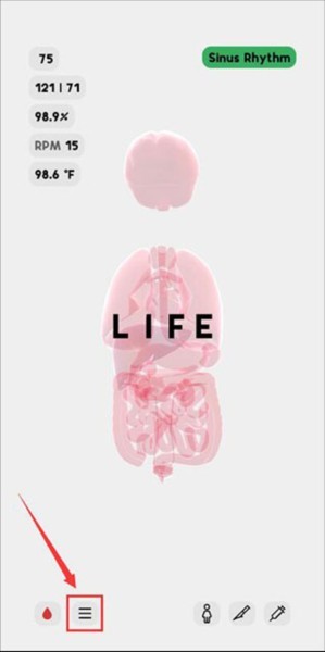 生命life图片4