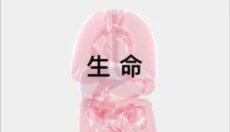 生命life 截图
