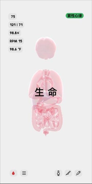 生命life图片7