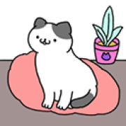 喵喵合成屋安卓版