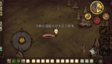 饥荒联机版 截图