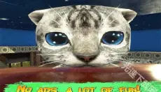 猫咪模拟器 截图