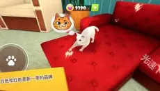 猫咪模拟器 截图