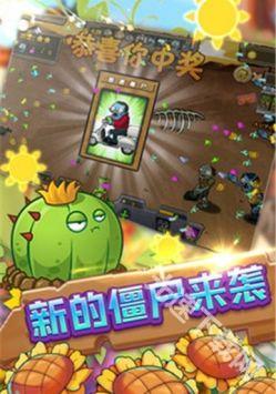保卫向日葵最新版