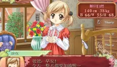 美少女梦工厂4 截图