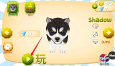 猫咪模拟器中文版 截图