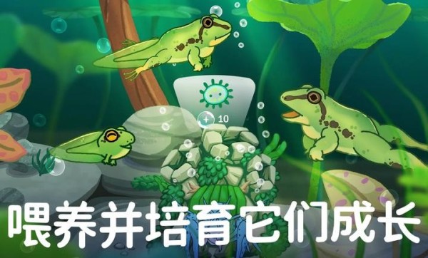 池趣