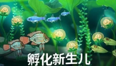 池趣 截图