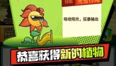 植物僵尸战争 截图