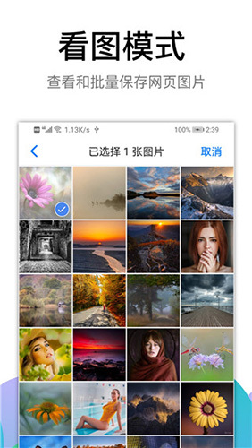 黑狮浏览器手机版