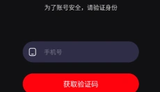 红人蜂 截图