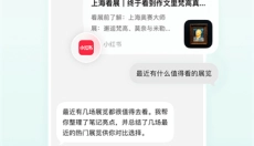 点点AI 截图